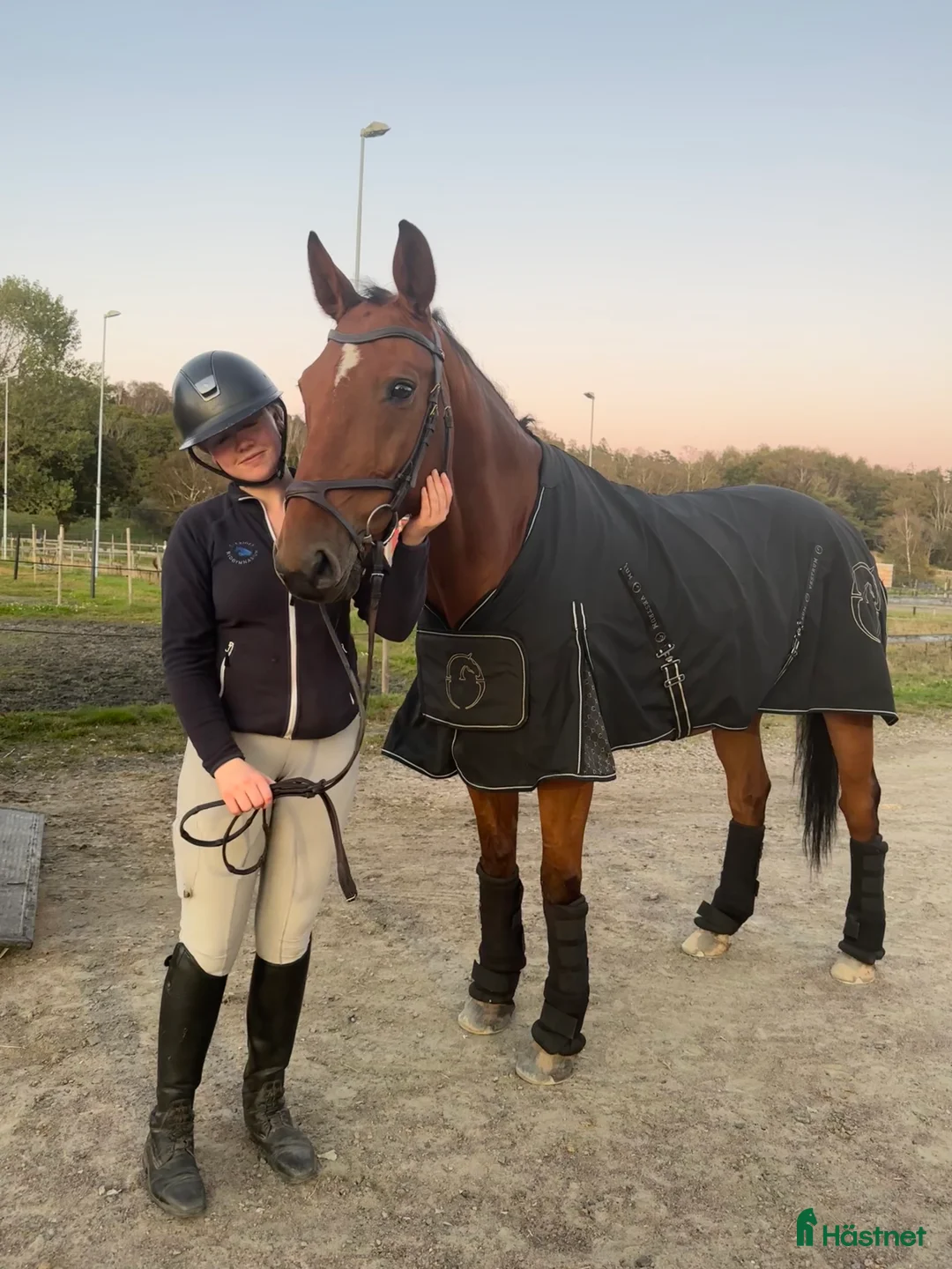  stallplats finnes: Söker stallplats över sommaren - Annons 2