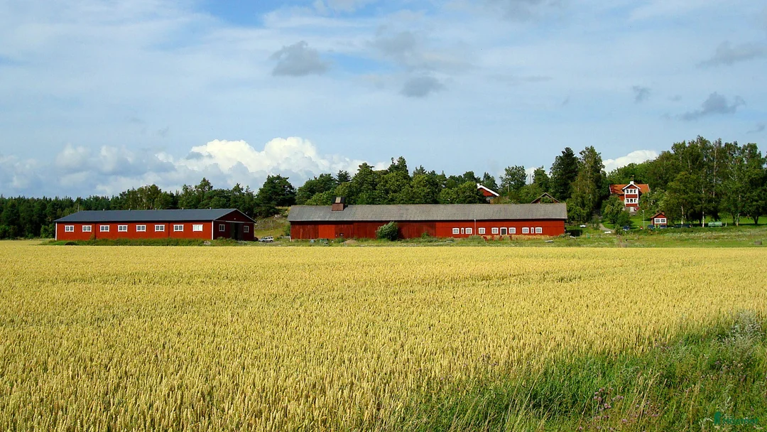  stallplats finnes: Stallplats med ridhus nära Norrköping (liten häst) i Norrköping - Annons 9