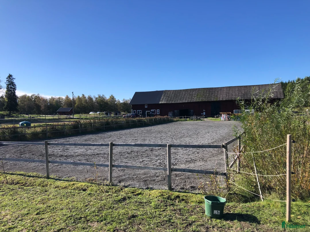  stallplats finnes: Ytterby gård i Åkersberga  i Åkersberga - Annons 1