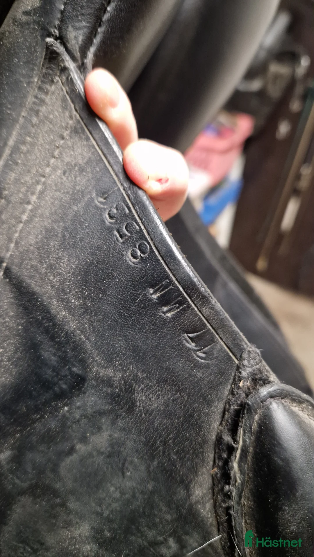 Sadlar hästutrustning till salu: Frank Baines Elan - Annons 5