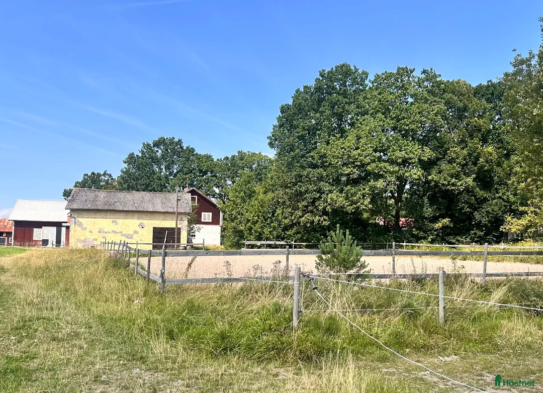  stallplats finnes: Stallplats Norrköping -Gamla Övägen i Norrköping - Annons 2