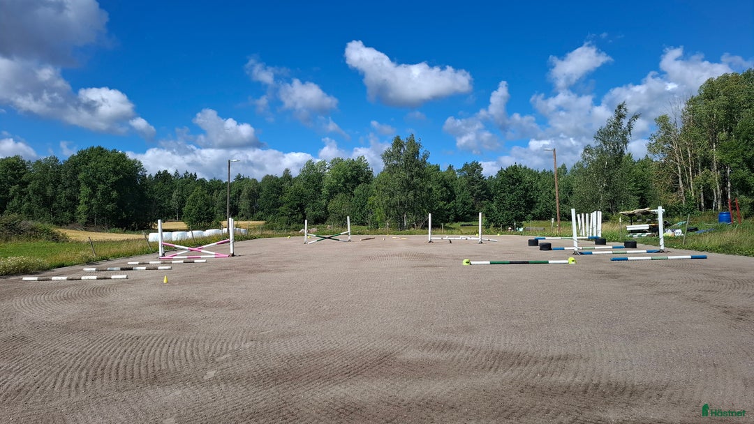  stallplats finnes: Lösdrift där hästar får vara hästar. i Tjällmo - Annons 7