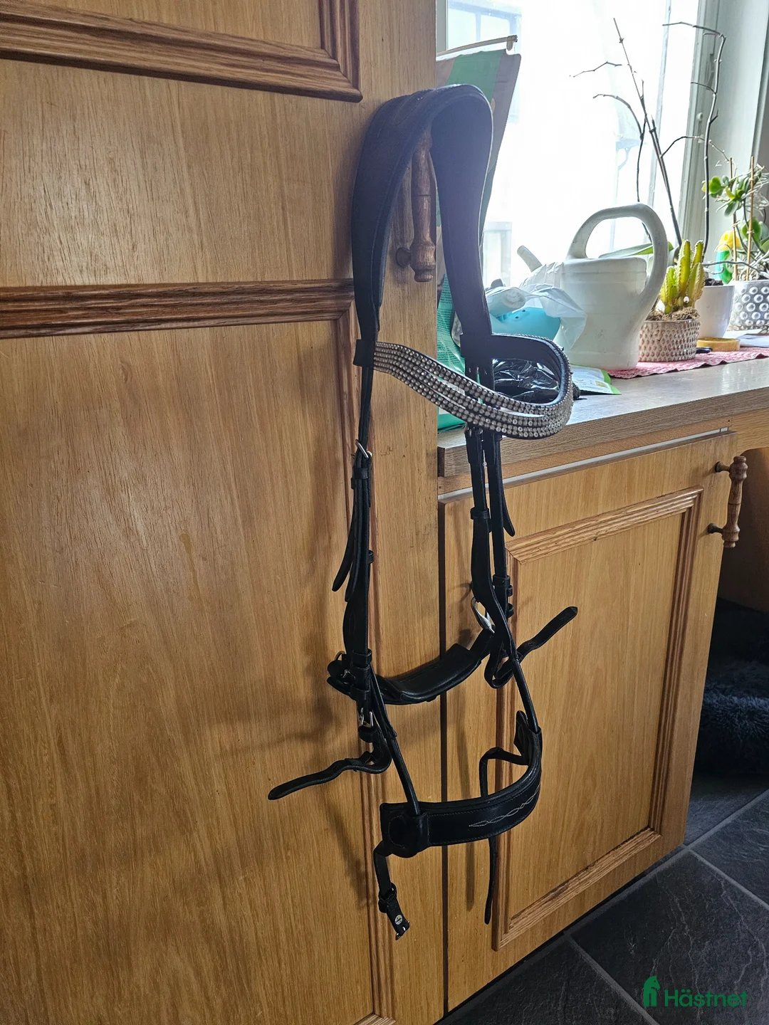 Träns hästutrustning till salu: Ps of sweden high jump träns - Annons 2