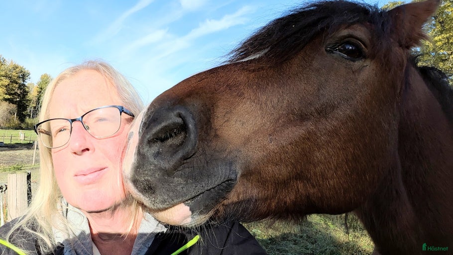 Galleribild {{count}}