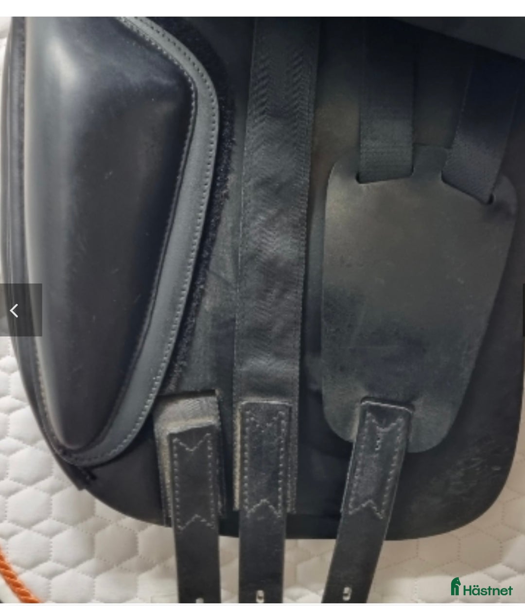 Sadlar hästutrustning till salu: Dressyr Amerigo Vega i Halmstad - Annons 3