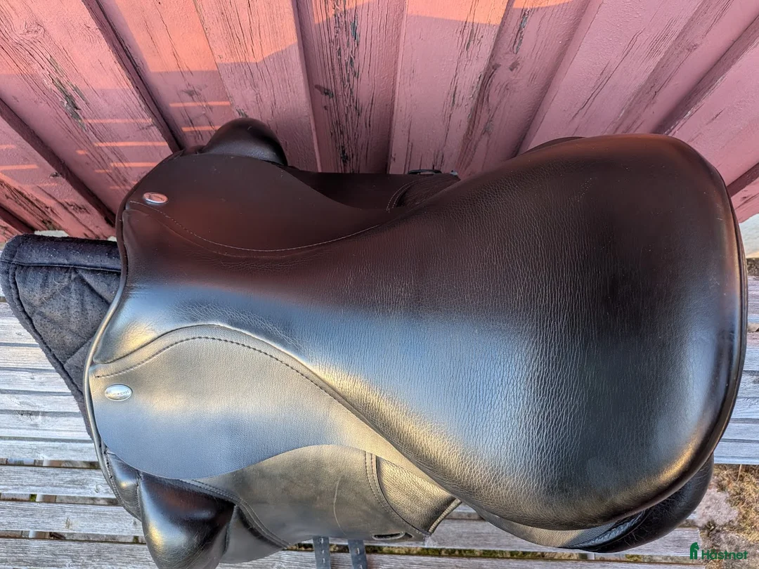 Sadlar hästutrustning till salu: Skön dressyrsadel i Akalla n.v. Stockholm i Kista - Annons 2