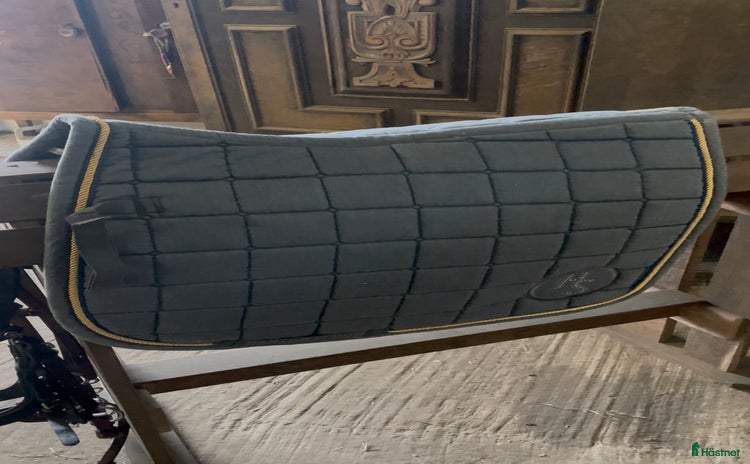 Schabrak & Vojlockar hästutrustning till salu: Hansbo sport schabrak i Markaryd - Annons 8