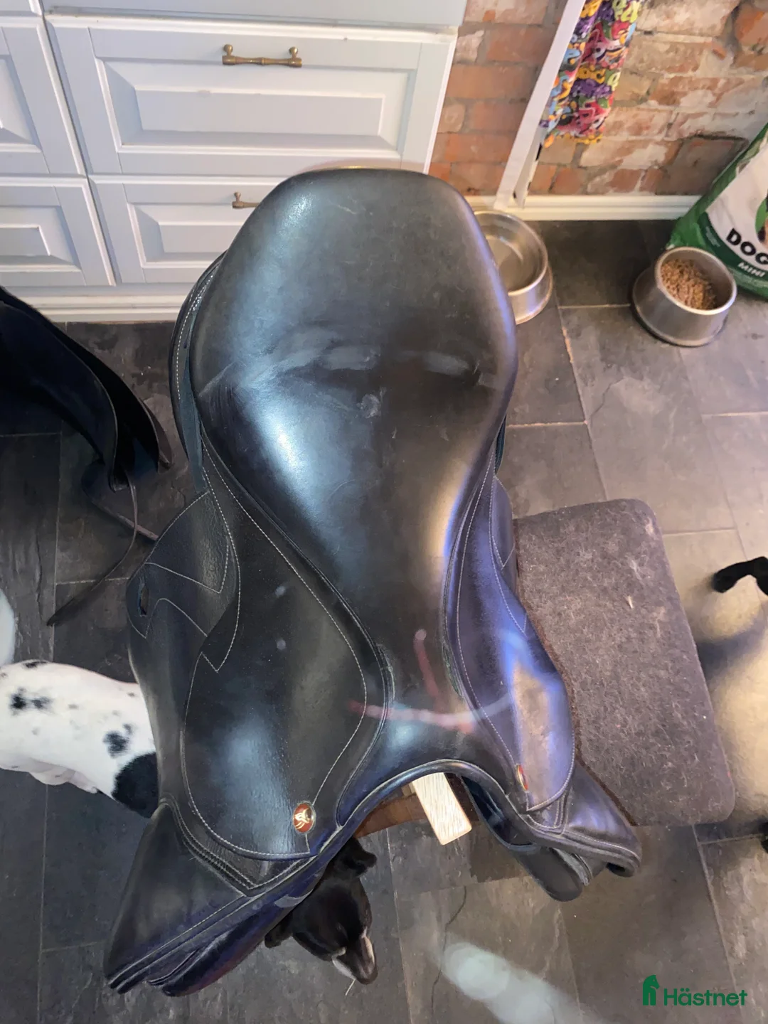 Sadlar hästutrustning till salu: Prestige hoppsadel - Annons 2