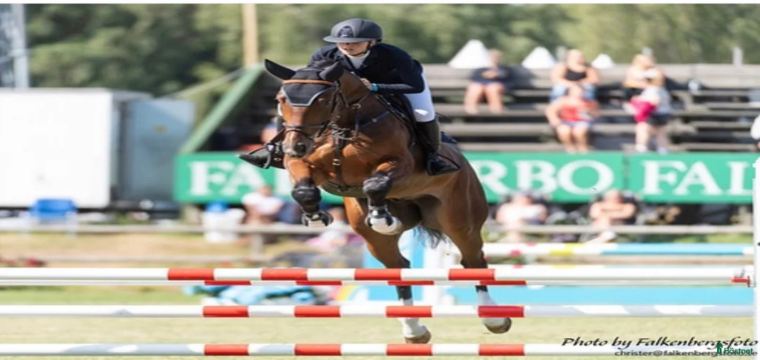 Galleribild {{count}}