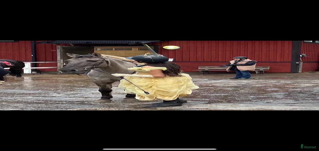 Galleribild {{count}}