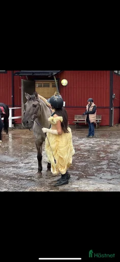 Galleribild {{count}}