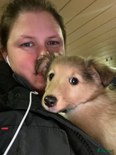 Galleribild {{count}}