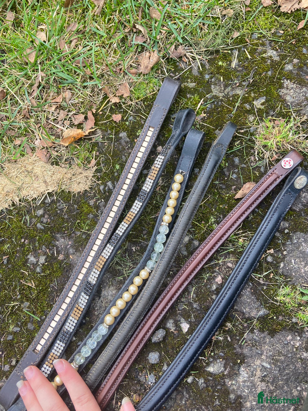 Övrig Hästutrustning hästutrustning till salu: Pannband till förbannelse i Skövde - Annons 1