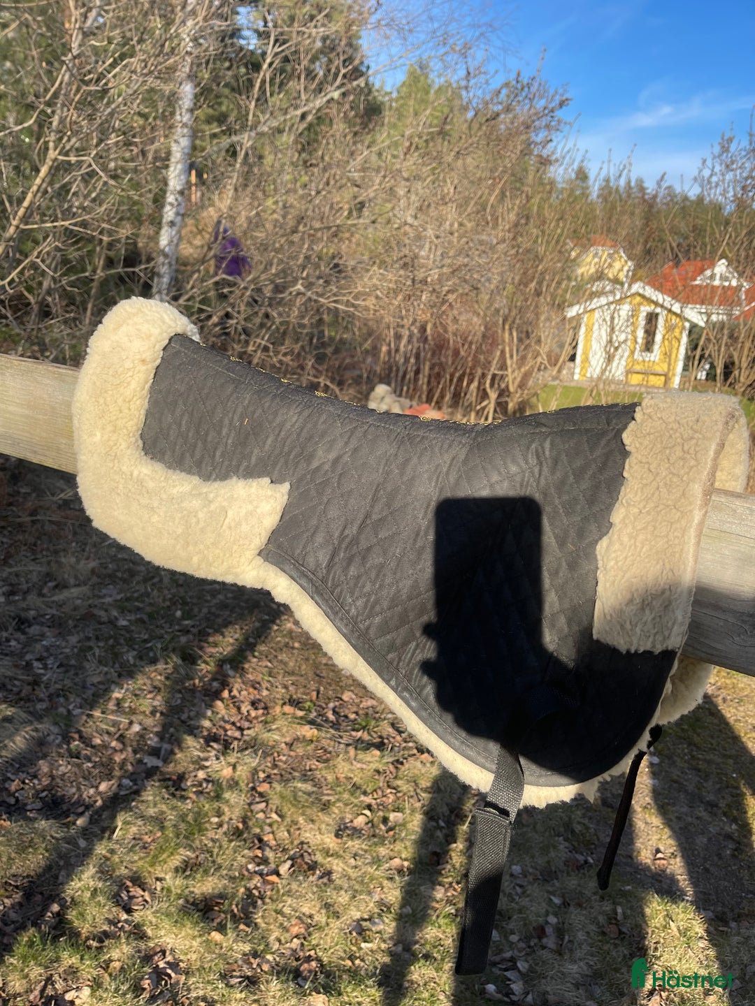 Schabrak & Vojlockar hästutrustning till salu: Fårskinnspadd i Norrköping - Annons 1