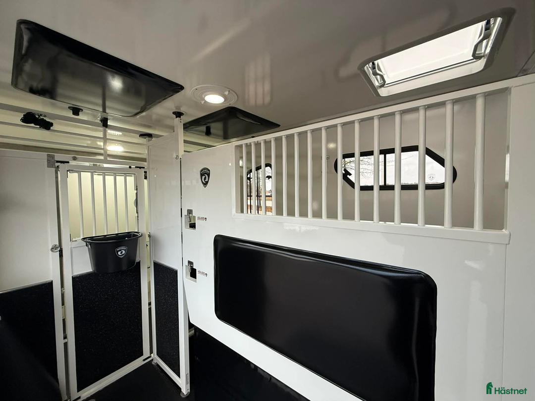 Hästlastbilar  fordon & transport till salu: PARAGAN EQUISTAR 3XL i Köping - Annons 11
