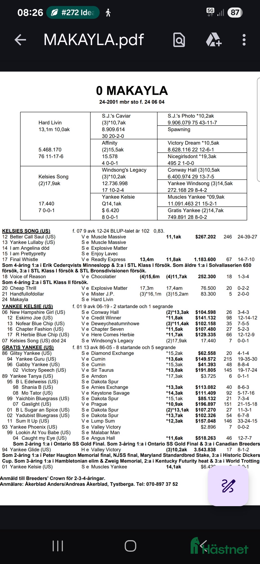 Trav hästar till salu: 1-årssto i Tystberga - Annons 4