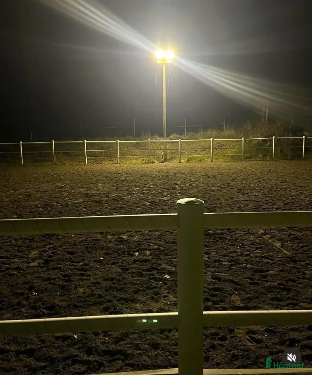  stallplats finnes: Stallplatser finnes - Annons 2