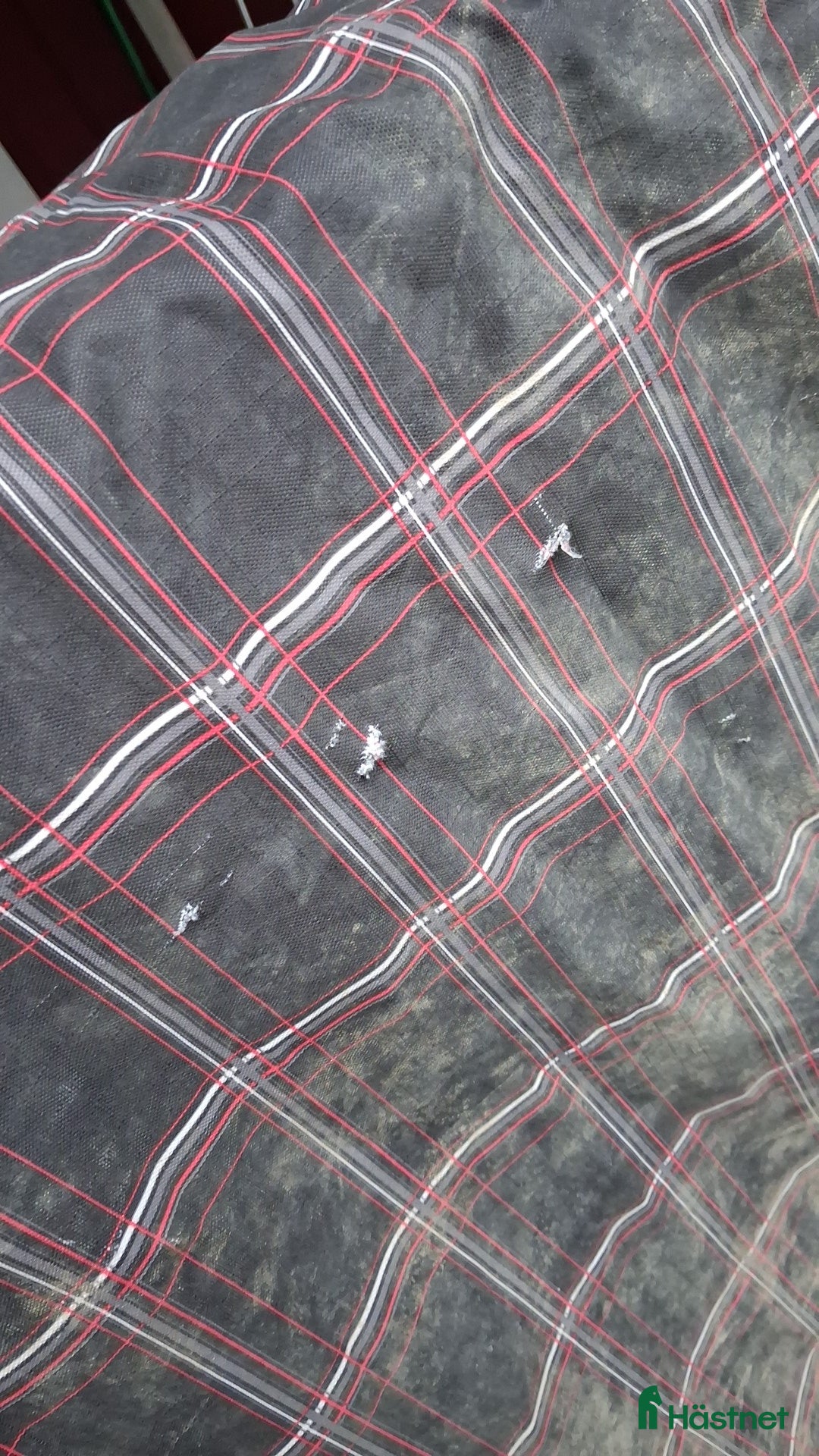 Täcken hästutrustning till salu: Vintertäcke 155cm 200g i Örbyhus - Annons 2