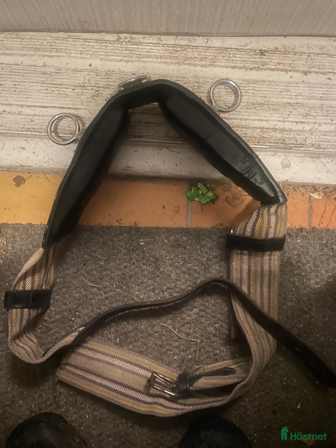 Övrig Hästutrustning hästutrustning till salu: Tömkörningsgjord! i Gävle - Annons 2