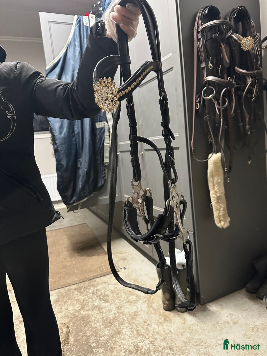 Träns hästutrustning till salu: Antares träns i Norrtälje - Annons 6