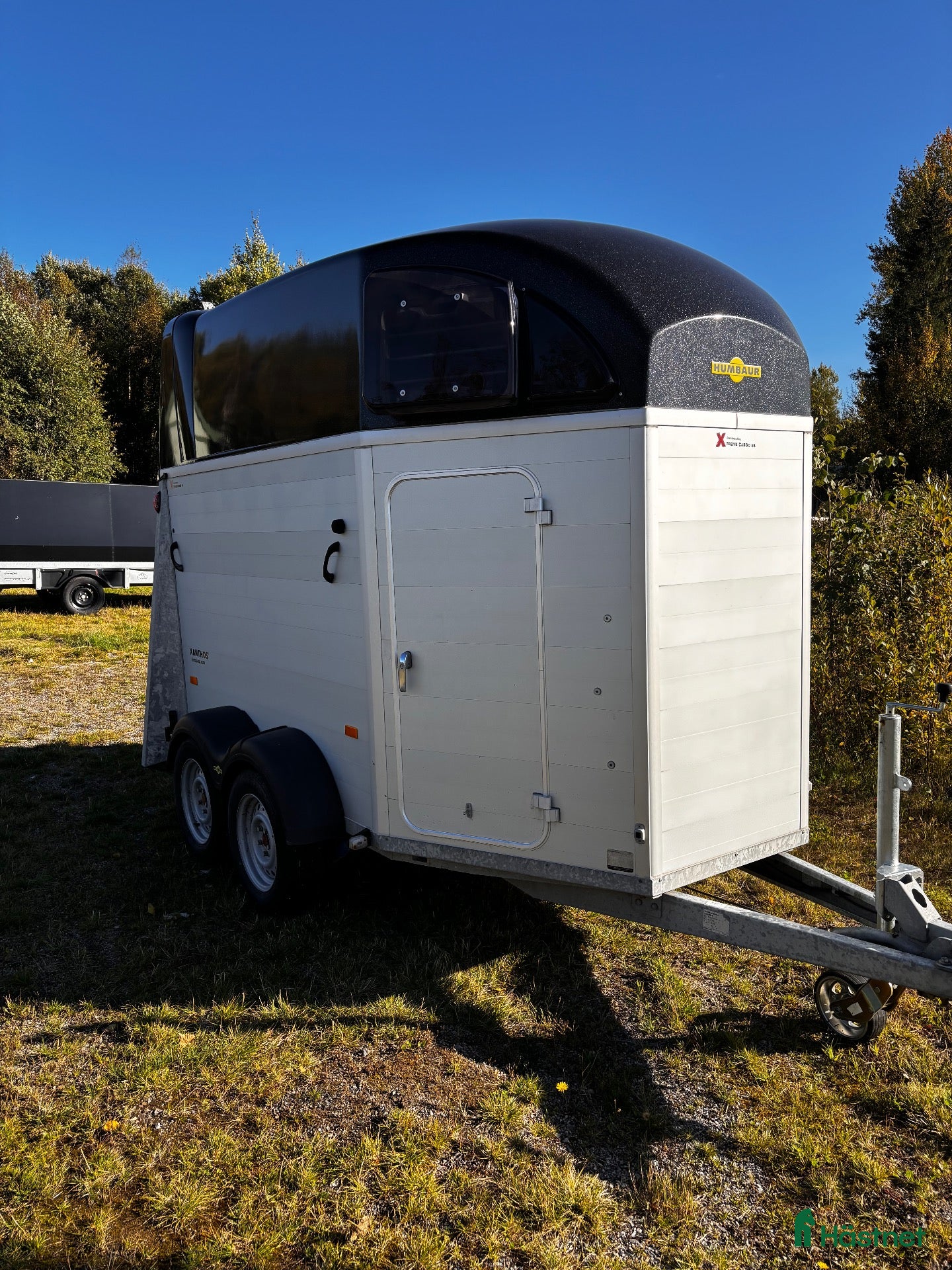 Hästtransporter  fordon & transport till salu: Humabauer Xantos - Annons 1