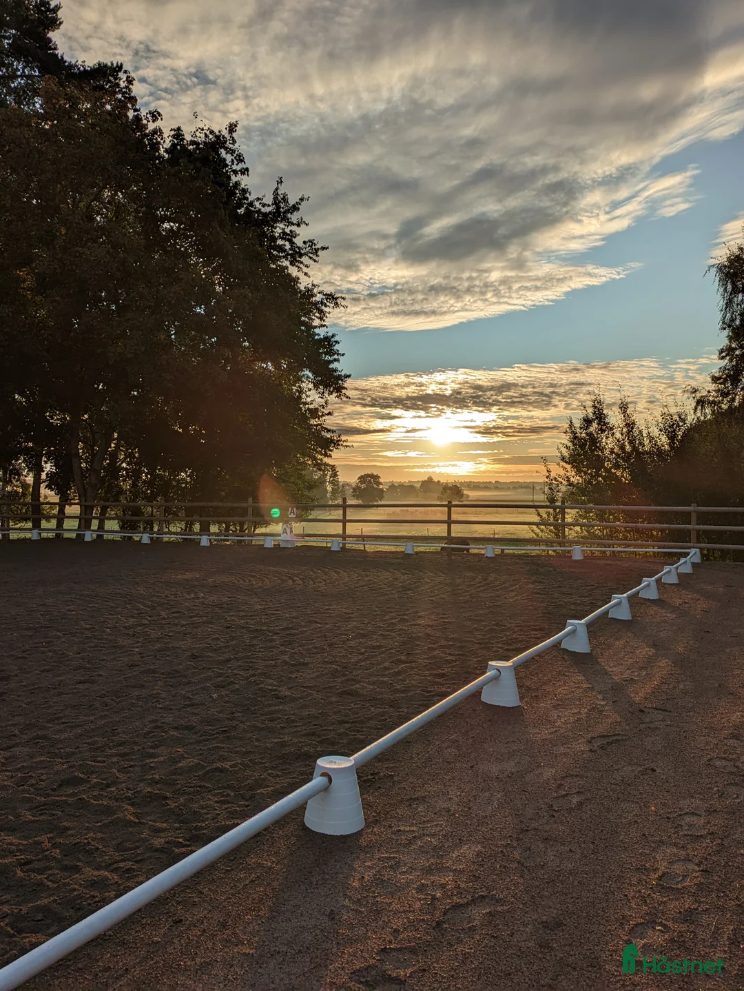 Allround hästar sökes: Snäll ponny/liten häst till annorlunda verksamhet - Annons 2