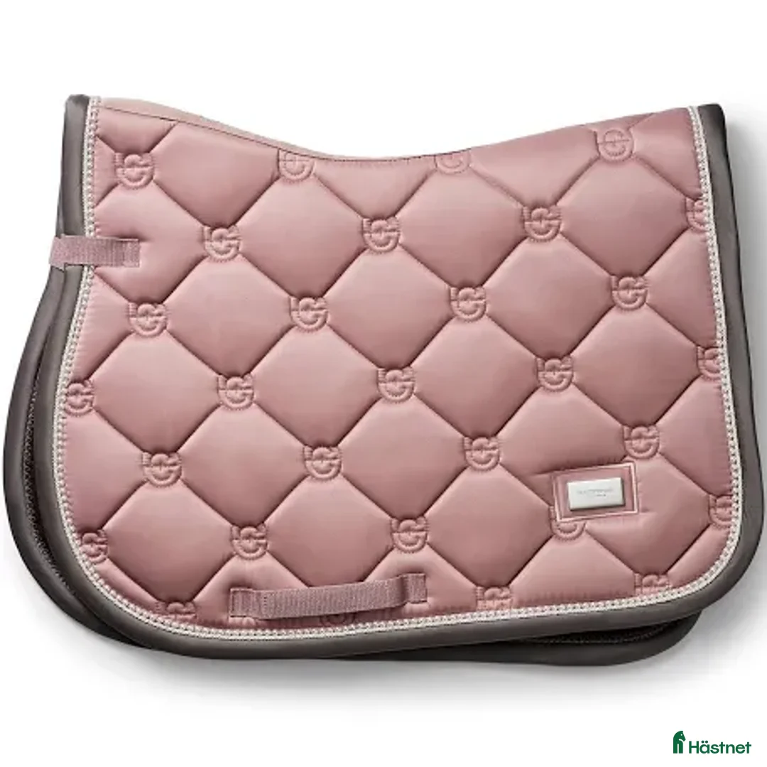 Schabrak & Vojlockar hästutrustning till salu: Schabrak till salu i Strömstad - Annons 1