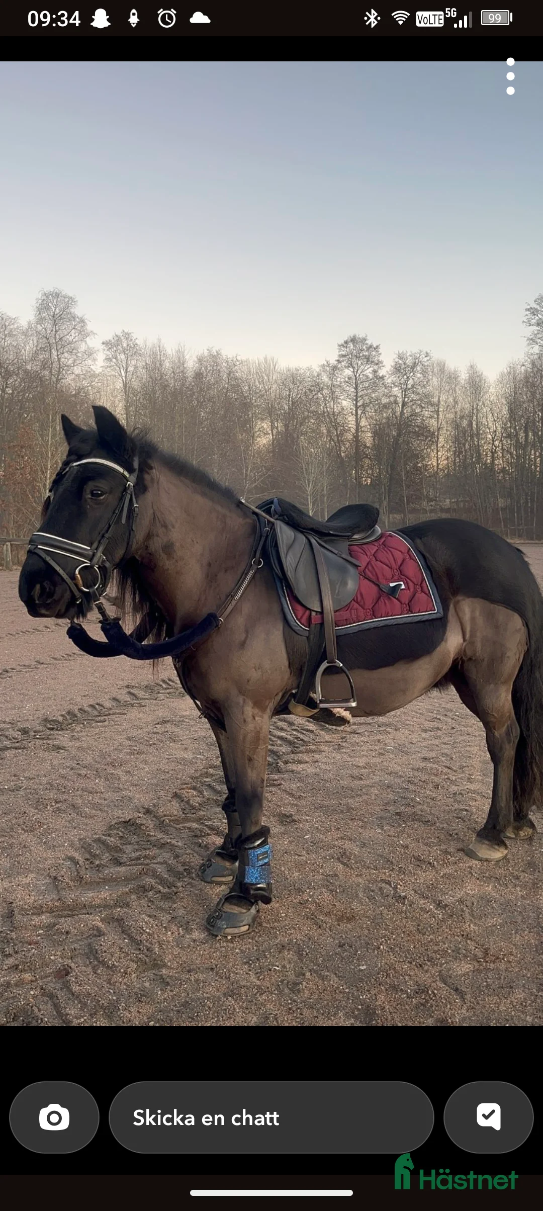 Allround hästar till salu: Världens finaste wonderful magic fellponny  i Ljung - Annons 8