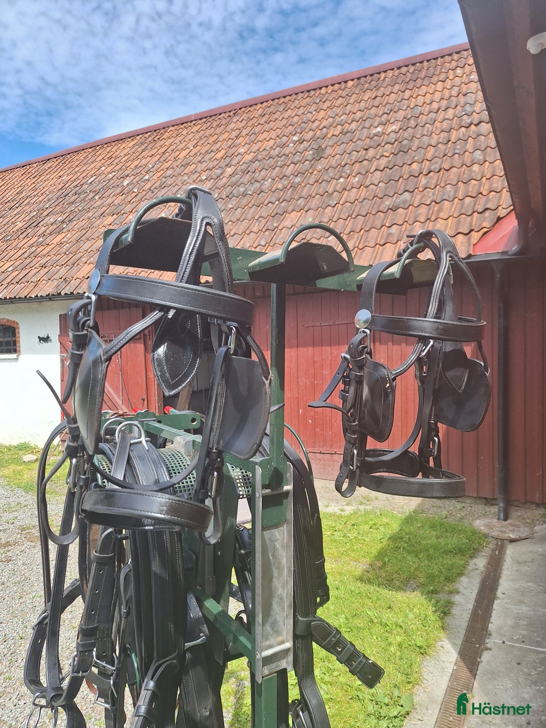 Körselar körning till salu: Ideal kombi sele par/enbet i Blentarp - Bild 4
