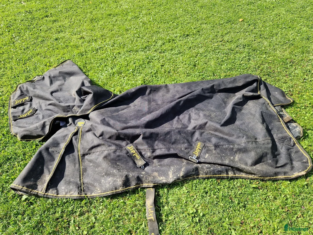 Täcken hästutrustning till salu: Lippo Supreme Plus 1200D 50g 145cm - Annons 1