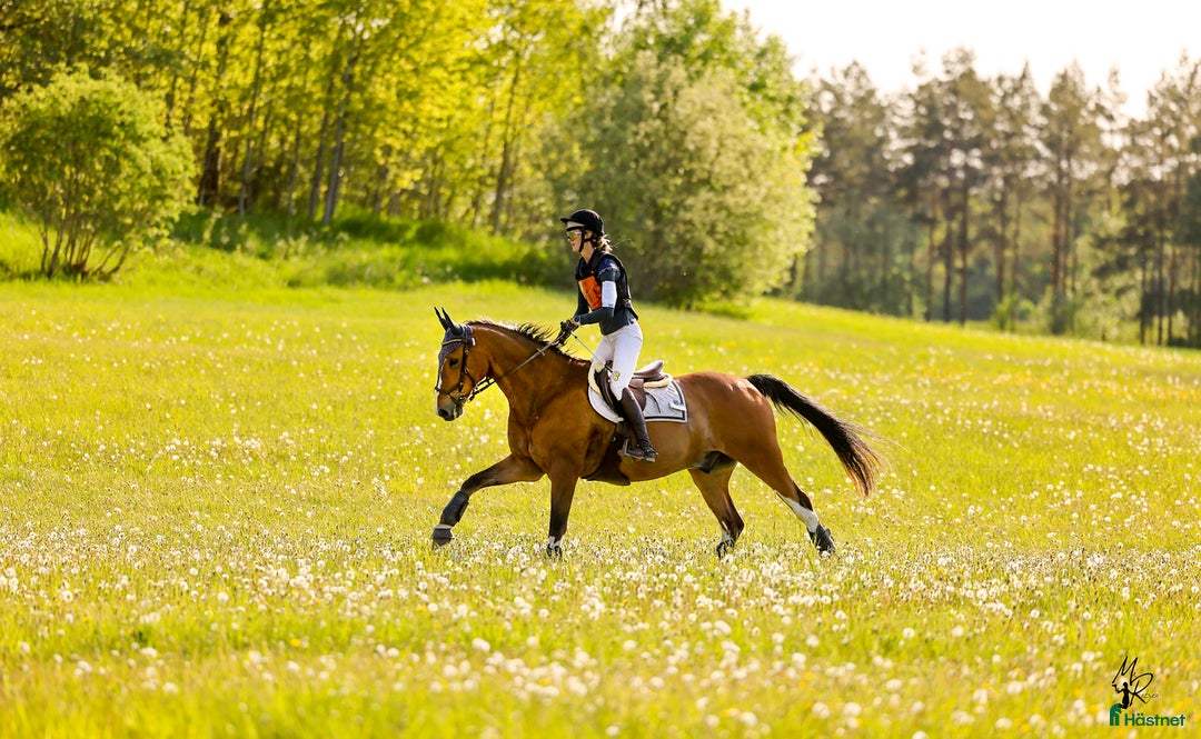 Hjälmar ryttarutrustning till salu: Fälttävlanshjälm Charles Owen i Väderstad - Annons 5