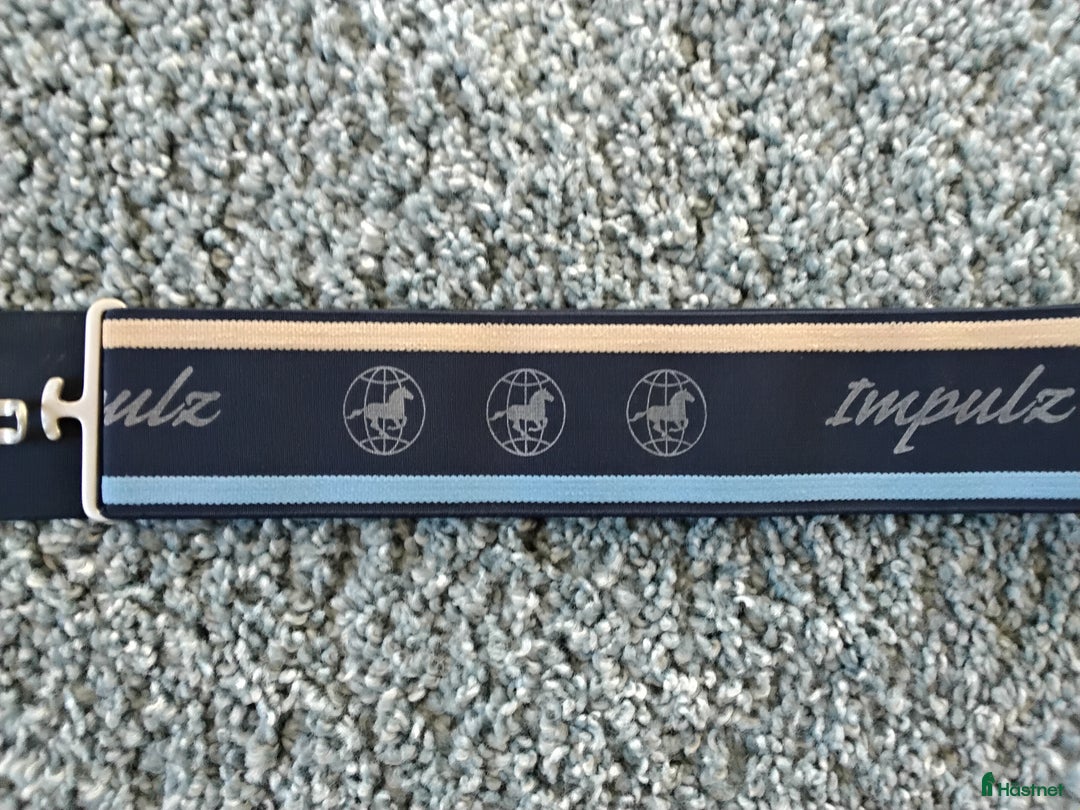 Övrig Hästutrustning hästutrustning till salu: Täckesgjord i Ekeby - Annons 3