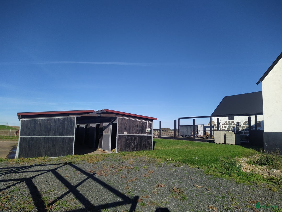  stallplats finnes: Hästboxar att hyra på en fantastisk tomt.  i Tomelilla - Annons 21