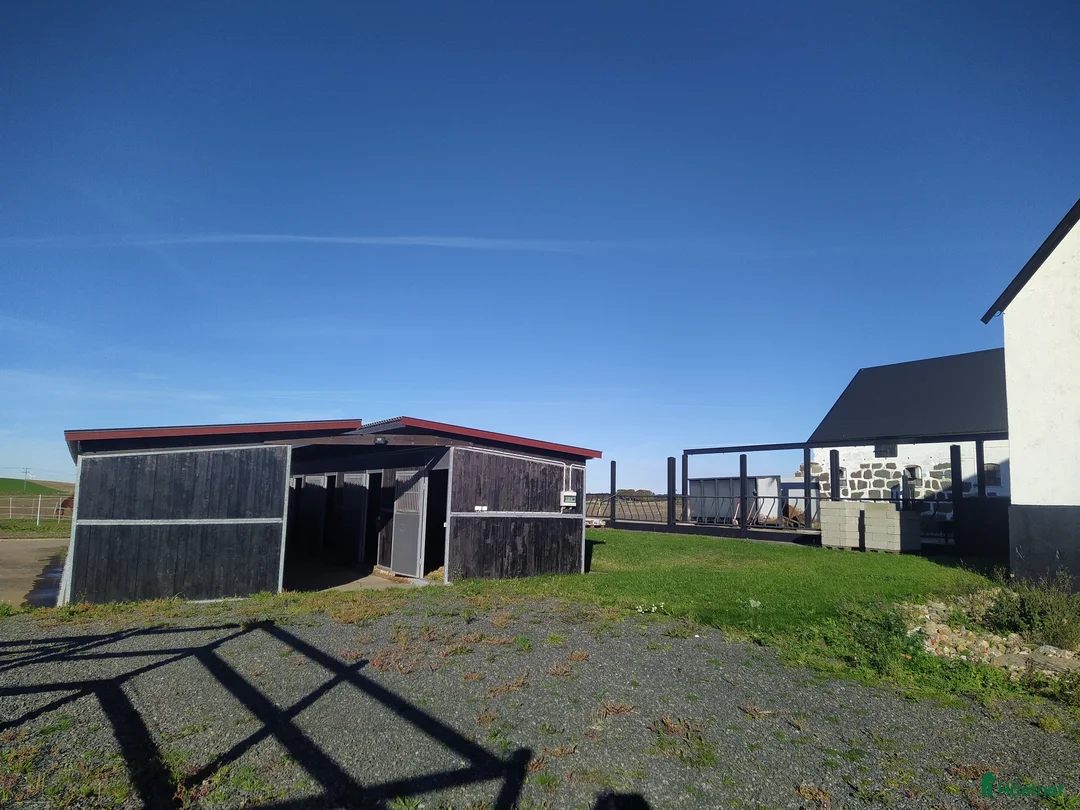  stallplats finnes: Hästboxar att hyra på en fantastisk tomt.  i Tomelilla - Annons 21