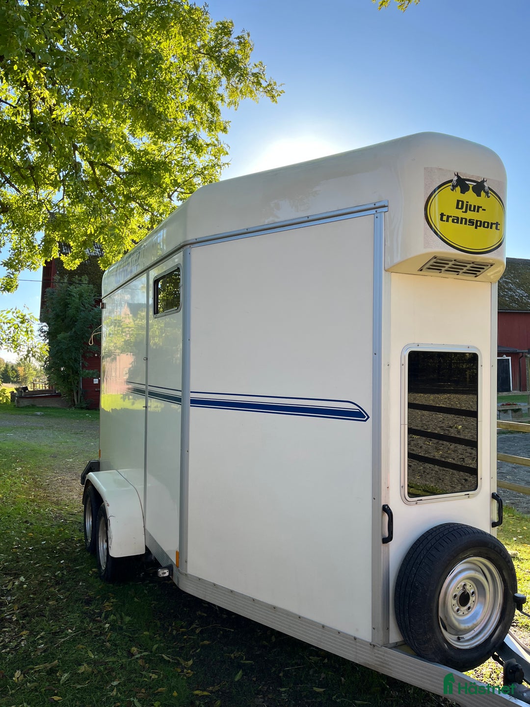 Hästtransporter  fordon & transport till salu: Umesläp 2005  i Mariestad - Annons 6