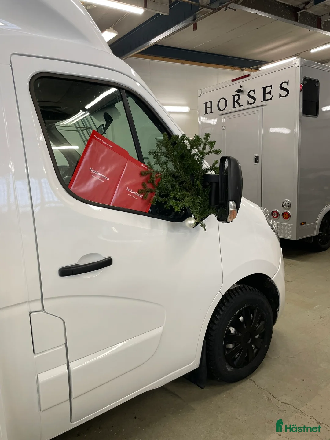 Hästlastbilar  fordon & transport till salu: Renault Master. Hästlastbil,B-kort.Lastvikt 1100kg - Annons 2