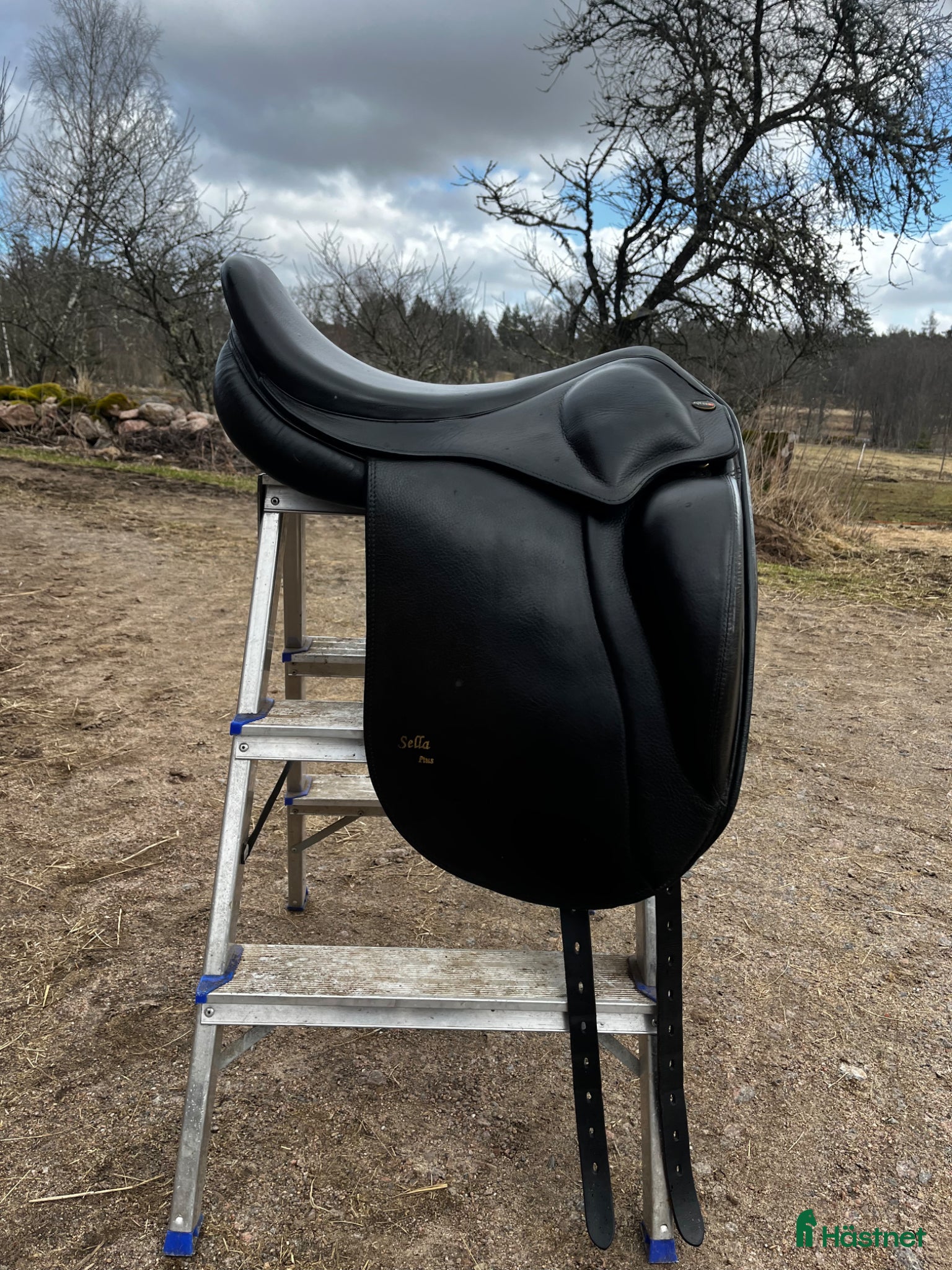 Sadlar hästutrustning Eques Sella plus  - Annons 9