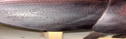 Sadlar hästutrustning till salu: CWD Mademoiselle 2Gs 17" i Skurup - Annons 5