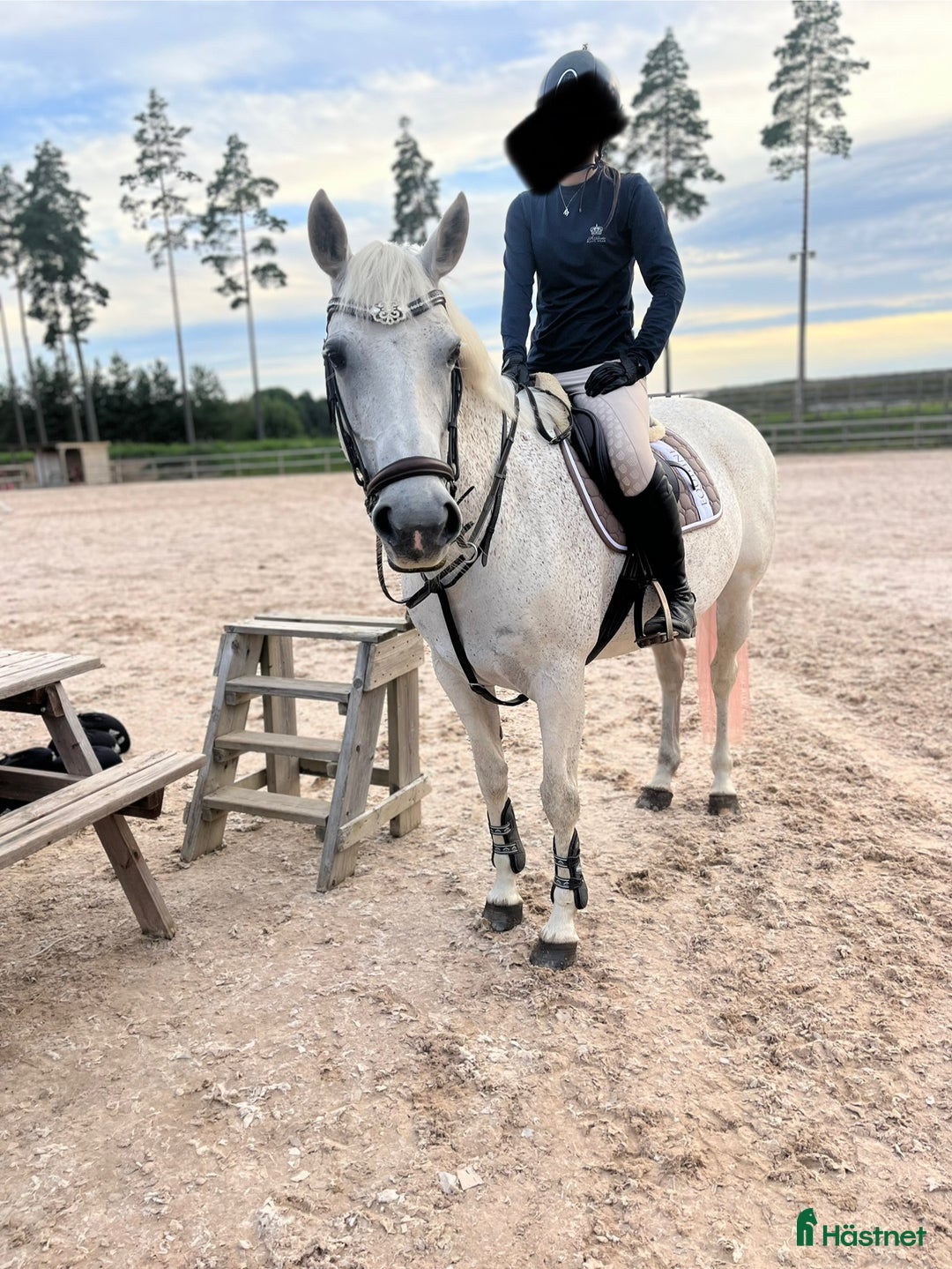 Allround hästar till salu: Fint D-ponny sto för hobbyryttare i Järna - Annons 2