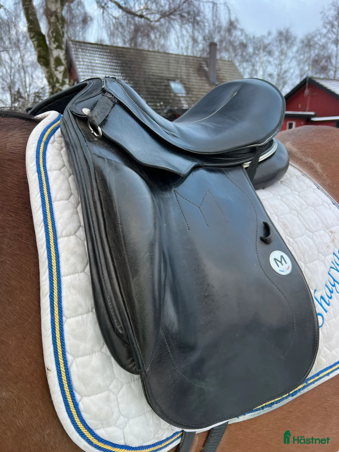 Sadlar hästutrustning till salu: Meyers dressyrsadel - Annons 2