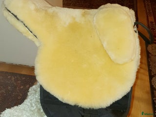 Övrig Hästutrustning hästutrustning till salu: Lyxig barbackapadd i Trollhättan - Annons 5