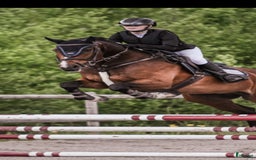 Allround hästar till salu: Bästa kompis/mor/dotter häst i Sundsvall - Bild 4