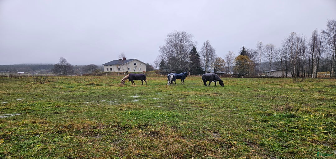 Galleribild {{count}}