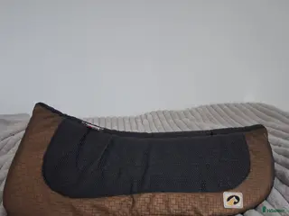 Schabrak & Vojlockar hästutrustning till salu: Ecogold Half Pad Dressyr i Kalmar - Annons 2