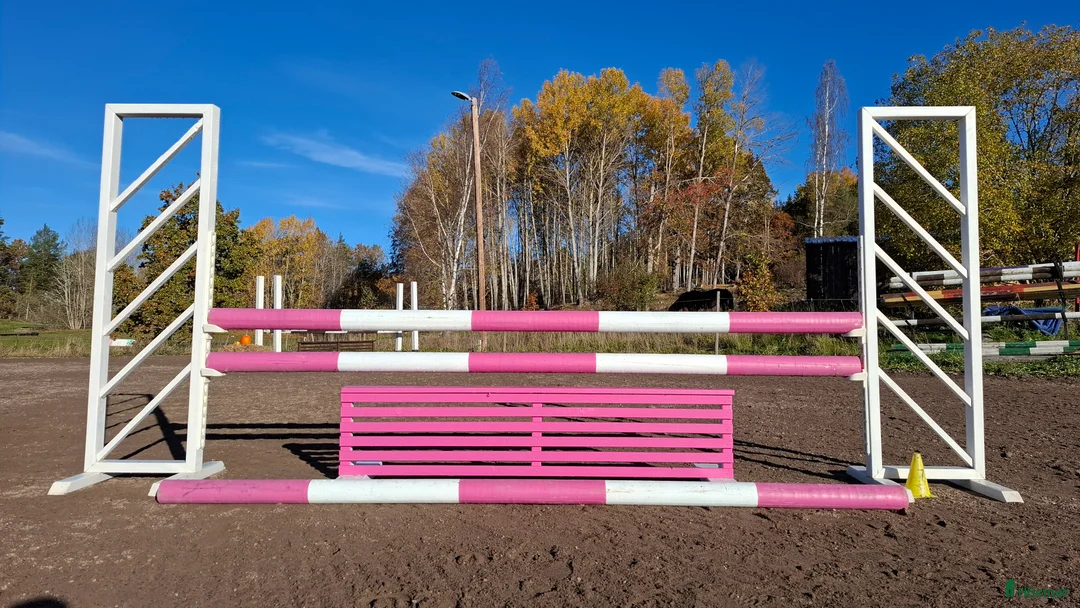  stallplats finnes: Lösdrift där hästar får vara hästar. i Tjällmo - Annons 4