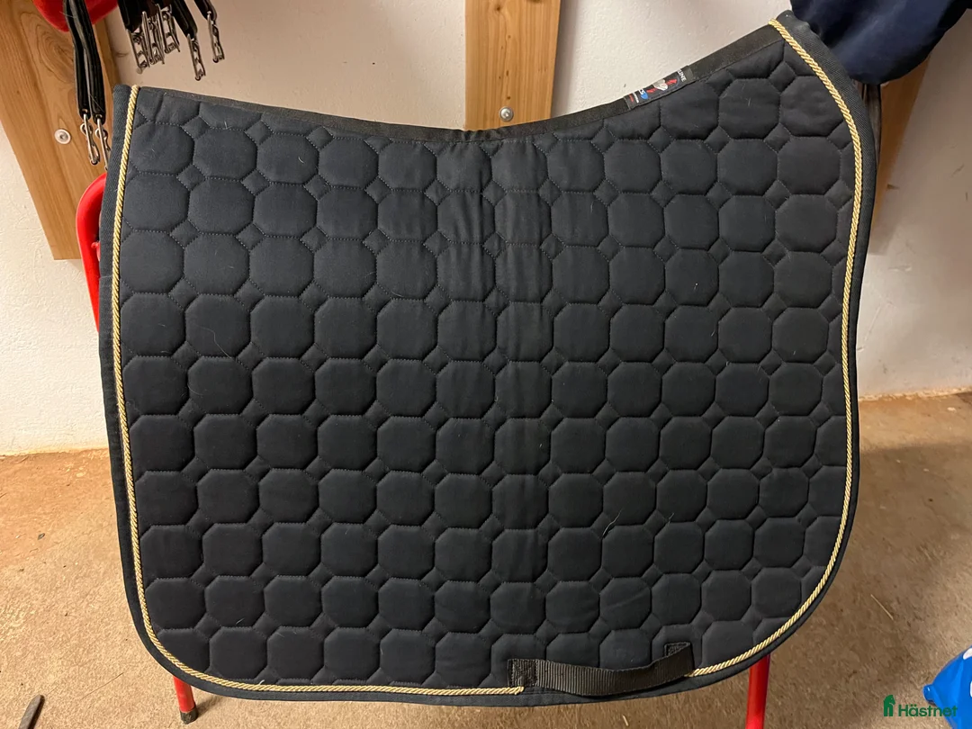 Schabrak & Vojlockar hästutrustning till salu: Equiline dressyrshabrak - Annons 2