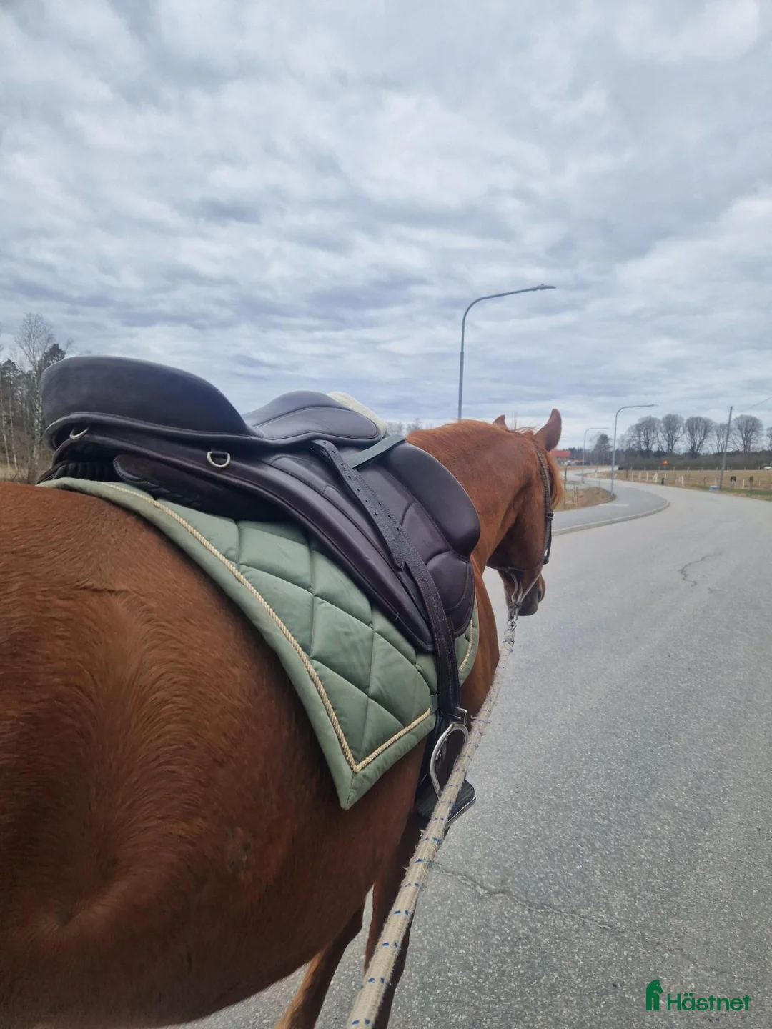 Sadlar hästutrustning till salu: Freeform 18" 46cm anläggningsyta  i Nykvarn - Annons 4