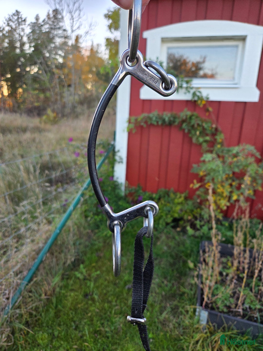 Bett hästutrustning till salu: Pee Wee Bett i Vikbolandet - Annons 1