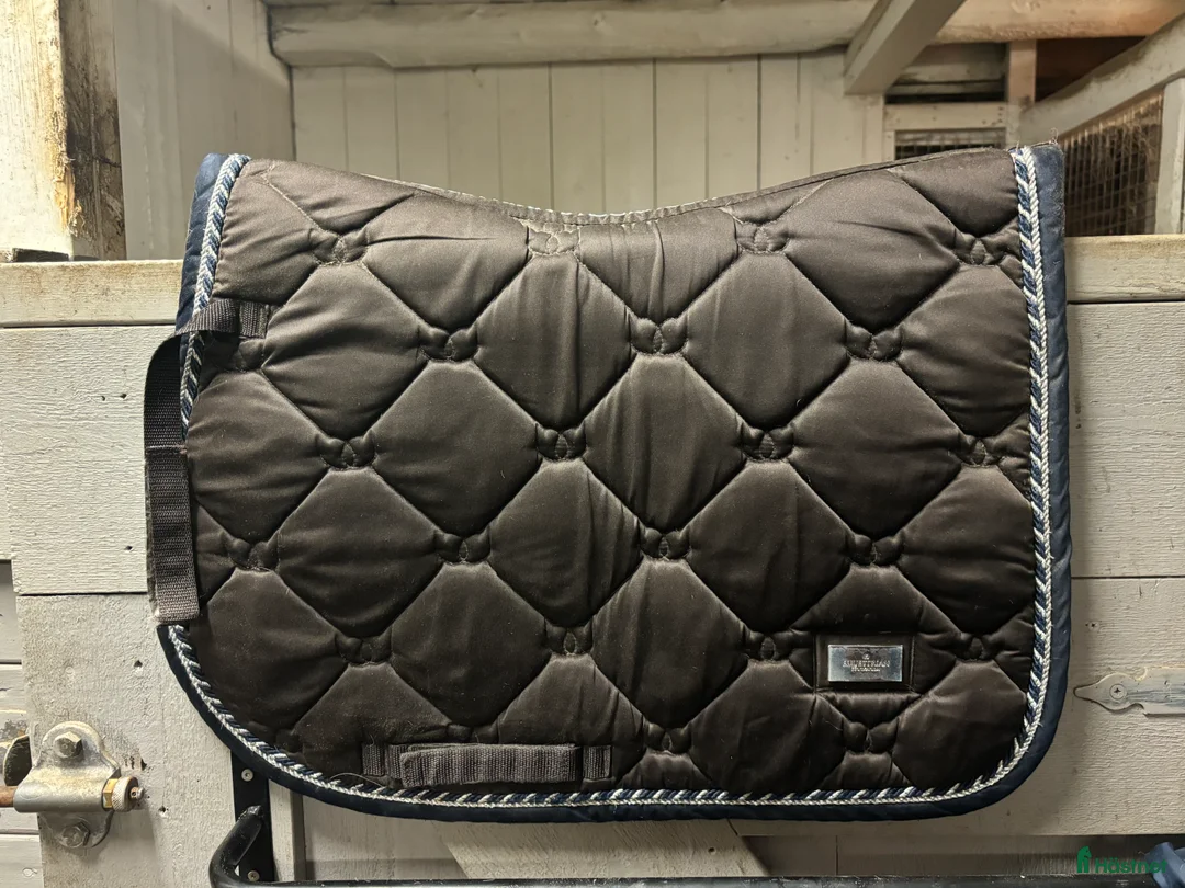 Schabrak & Vojlockar hästutrustning till salu: Esstockholm schabrak  - Annons 1