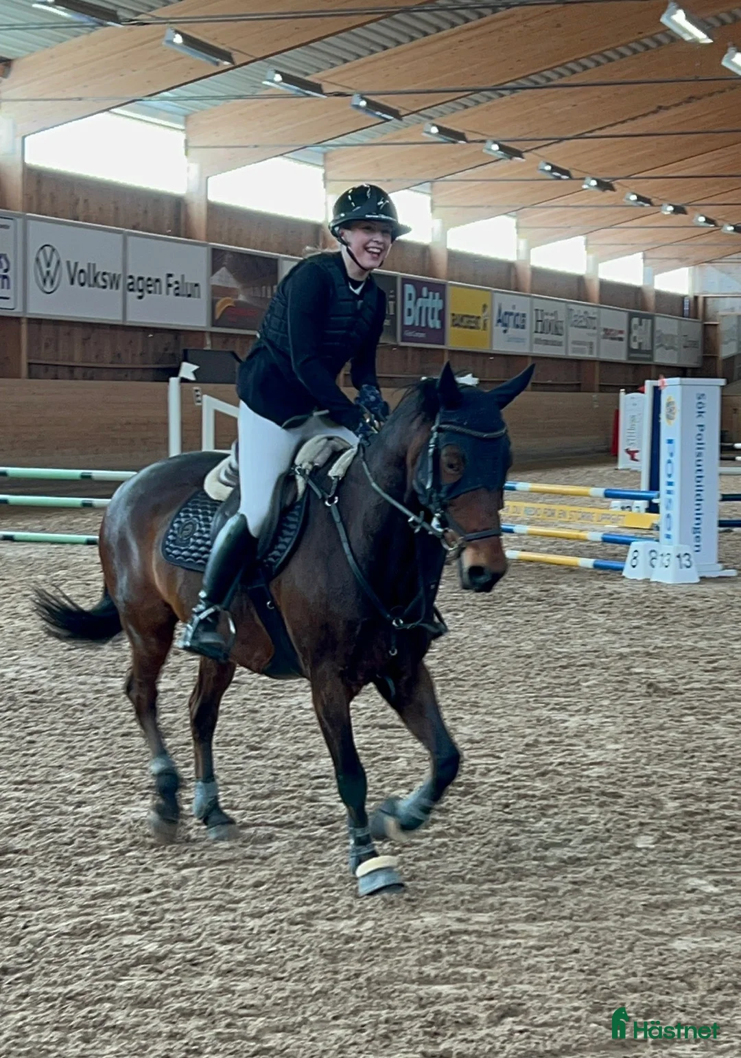 Hoppning hästar till salu: Pigg och arbetsvillig D-ponny i Hedemora - Annons 2